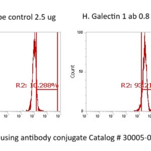Human Galectin-1 (Gal-1) Antibody (FITC Conjugate)
