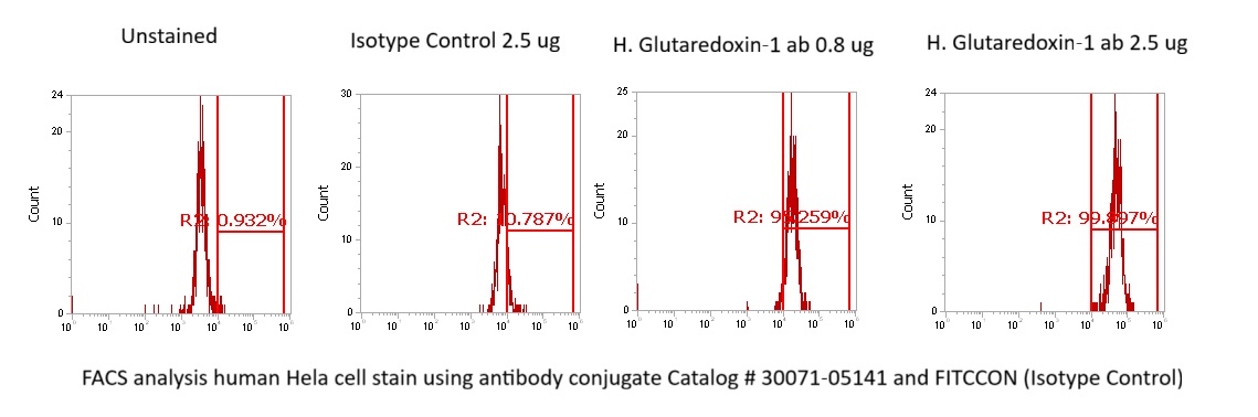 Human Glutaredoxin-1 (GLRX) Antibody (FITC Conjugate) - Image 2