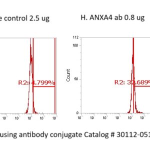 Human Annexin A4  (ANXA4) AssayLite Antibody (FITC Conjugate)