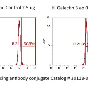 Human Galectin-3 (Gal-3) Antibody (FITC Conjugate)