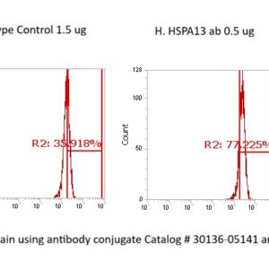 Human Heat Shock Protein 70 kDa Family Member 13 (HSPA13) AssayLite Antibody (FITC Conjugate)