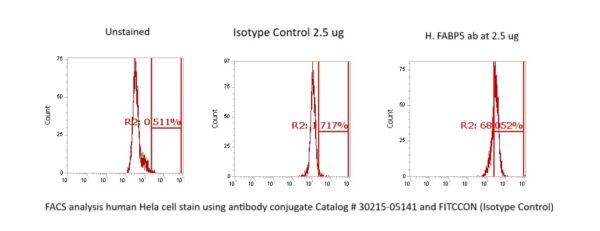 Human FABP5 Antibody (FITC Conjugate) - Image 2