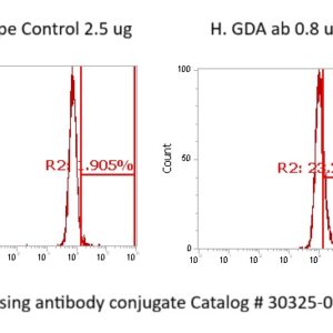 Human Guanase (GDA) Antibody (FITC Conjugate)