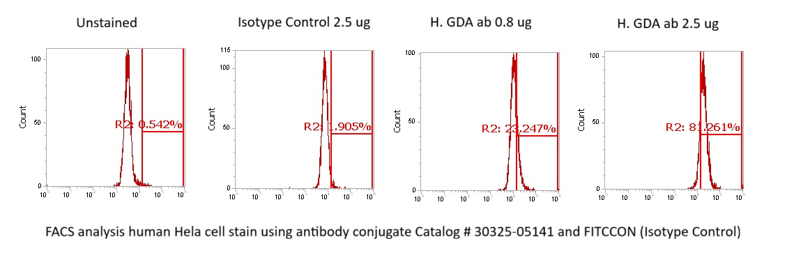 Human Guanase (GDA) Antibody (FITC Conjugate)
