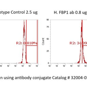 Human FBP1 Antibody (FITC Conjugate)