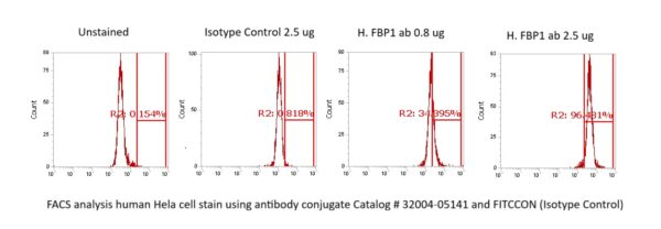 Human FBP1 Antibody (FITC Conjugate)