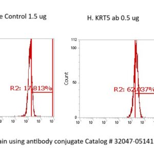 Human Cytokeratin-5 (CK-5) AssayLite Antibody (FITC Conjugate)