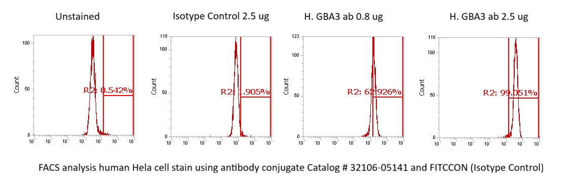 Human GBA3 Antibody (FITC Conjugate)