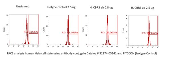 Human Carbonyl Reductase 3 (CBR3) Antibody (FITC Conjugate) - Image 2