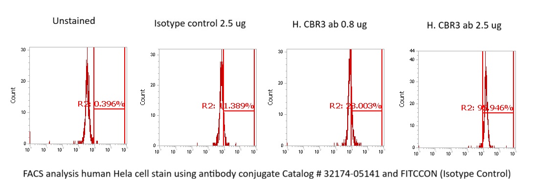 Human Carbonyl Reductase 3 (CBR3) Antibody (FITC Conjugate) - Image 2