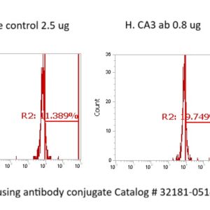 Human Carbonic Anhydrase 3 (CA3) Antibody (FITC Conjugate)