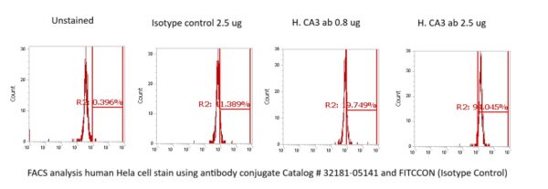 Human Carbonic Anhydrase 3 (CA3) Antibody (FITC Conjugate)