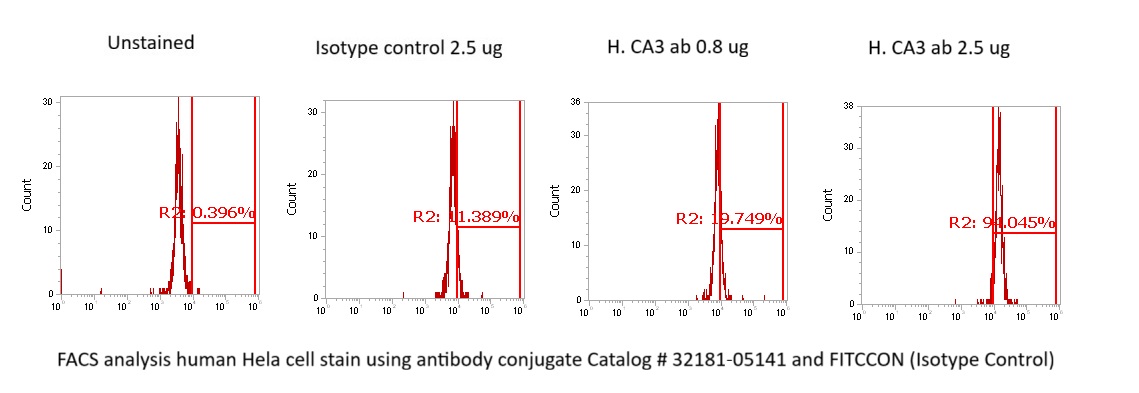 Human Carbonic Anhydrase 3 (CA3) Antibody (FITC Conjugate)