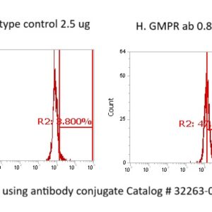 Human GMPR1 AssayLite Antibody (FITC Conjugate)
