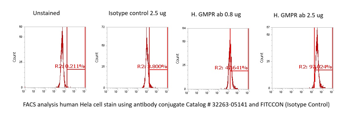 Human GMPR1 AssayLite Antibody (FITC Conjugate)