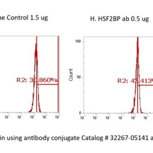 Human Heat Shock Factor 2-Binding Protein (HSF2BP) AssayLite Antibody (FITC Conjugate)