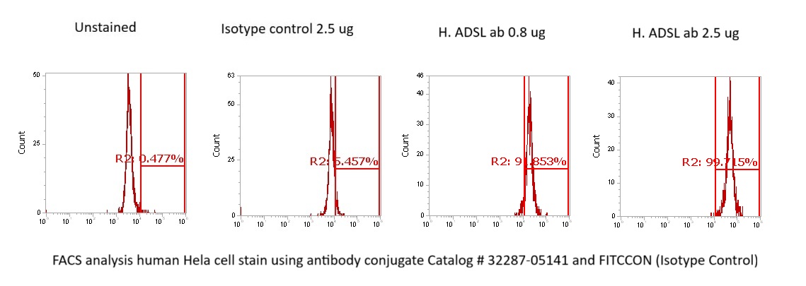 Human Adenylosuccinate Lyase (ADSL) Antibody (FITC Conjugate) - Image 3