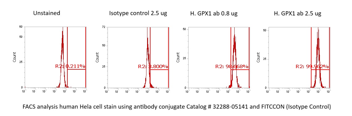 Human Glutathione Peroxidase 1 (GPX1) Antibody (FITC Conjugate) - Image 2