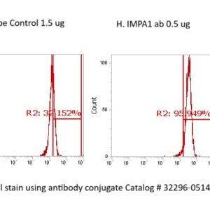 Human IMPA1 AssayLite Antibody (FITC Conjugate)
