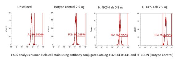 Human GCSH Antibody (FITC Conjugate)