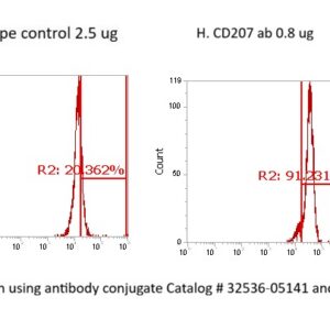 Human Langerin AssayLite Antibody (FITC Conjugate)
