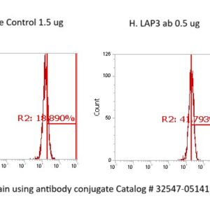 Human LAP3 AssayLite Antibody (FITC Conjugate)