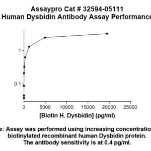 Human Dysbindin Antibody