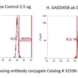 Human GADD45B Antibody (FITC Conjugate)