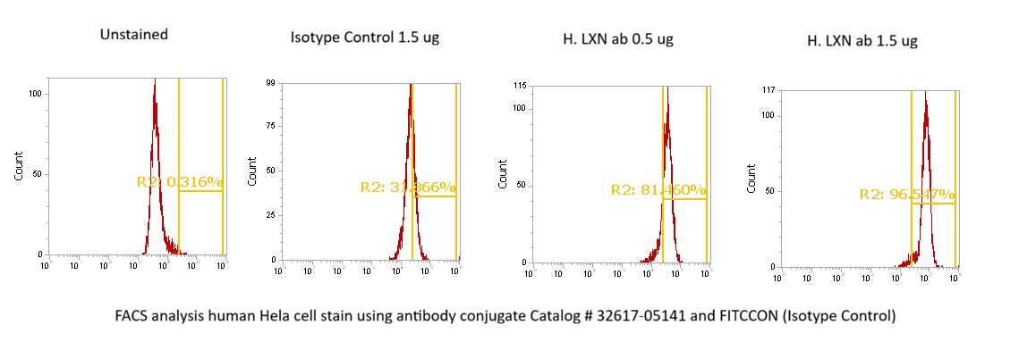 Human Latexin (LXN) AssayLite Antibody (FITC Conjugate)