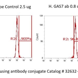 Human GAS7 Antibody (FITC Conjugate)