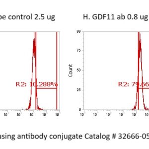 Human GDF-11 Antibody (FITC Conjugate)