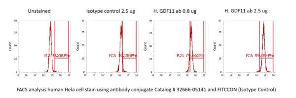 Human GDF-11 Antibody (FITC Conjugate)