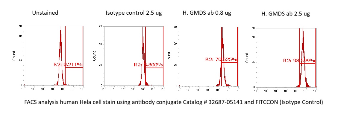 Human GMDS Antibody (FITC Conjugate) - Image 2