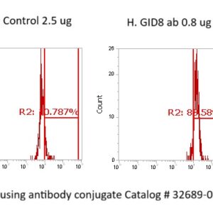 Human GID8 Antibody (FITC Conjugate)