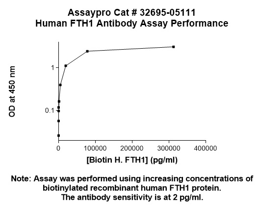 Human FTH1 (Ferritin Heavy Chain) Antibody (Biotin Conjugate)