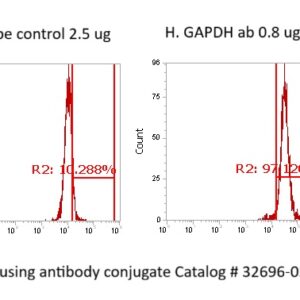 Human GAPDH Antibody (FITC Conjugate)