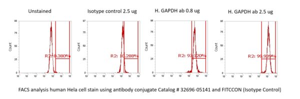 Human GAPDH Antibody (FITC Conjugate)