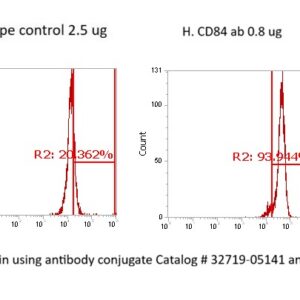 Human CD84 Antibody (FITC Conjugate)