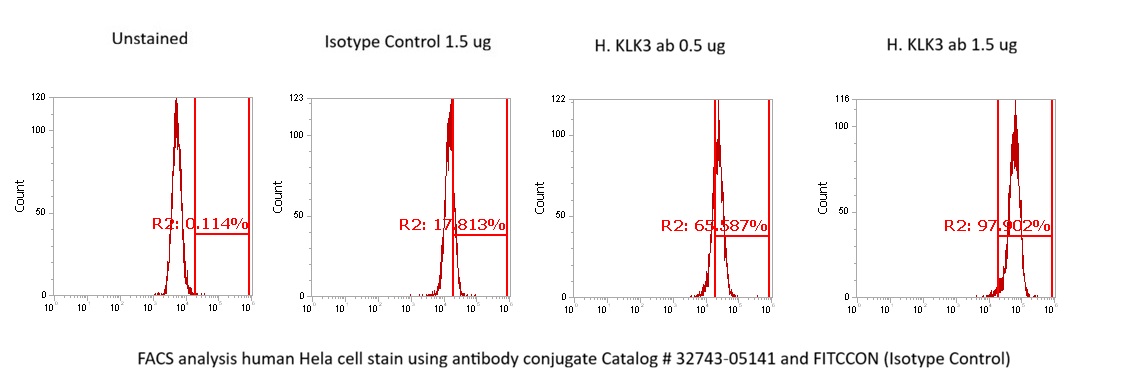 Human Kallikrein-3 (KLK3) AssayLite Antibody (FITC Conjugate)