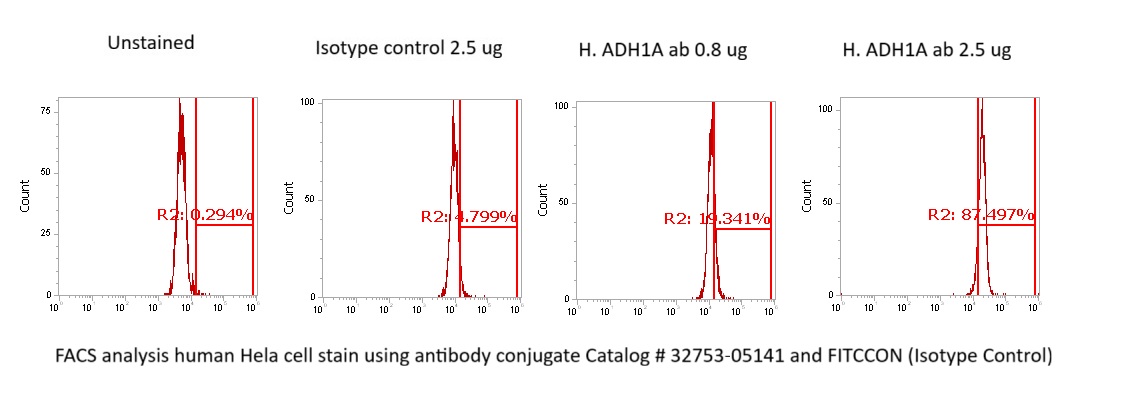 Human Alcohol Dehydrogenase 1A (ADH1A) Antibody (FITC Conjugate)