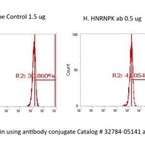 Human HNRNPK AssayLite Antibody (FITC Conjugate)