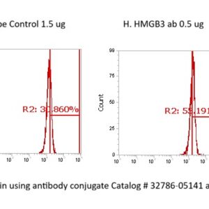 Human HMGB3 AssayLite Antibody (FITC Conjugate)