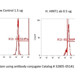 Human HINT1 AssayLite Antibody (FITC Conjugate)