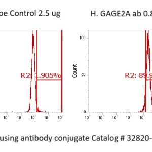 Human GAGE2A Antibody (FITC Conjugate)