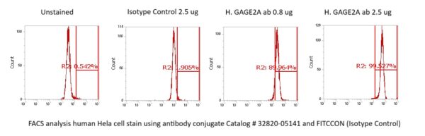 Human GAGE2A Antibody (FITC Conjugate)