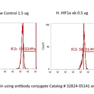 Human HIF-1 alpha AssayLite Antibody (FITC Conjugate)