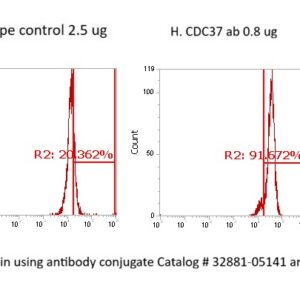 Human CDC37 Antibody (FITC Conjugate)