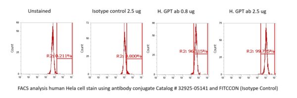 Human Alanine Aminotransferase (ALT, GPT) Antibody (FITC Conjugate) - Image 2