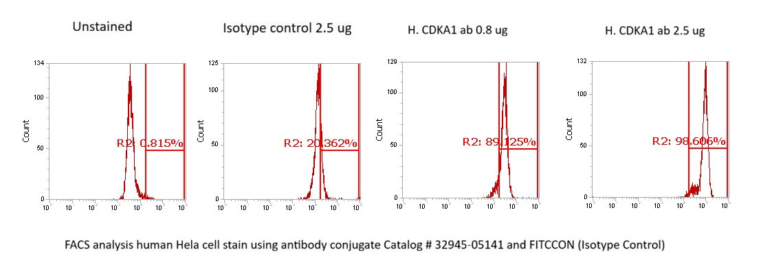 Human CDKA1 / DOC1 Antibody (FITC Conjugate)
