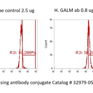 Human GALM Antibody (FITC Conjugate)